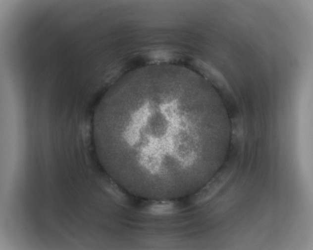 X0000111630369200907241055