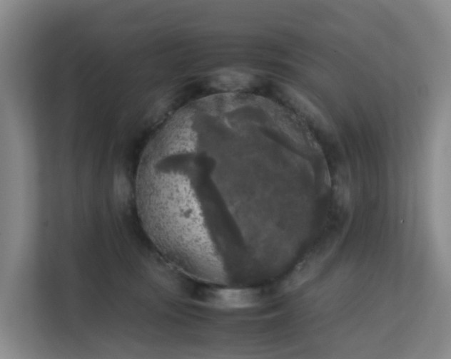 X0000111630371200907241055