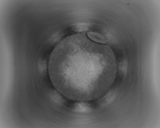 X0000111630372200907241055