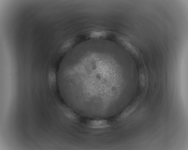 X0000111630375200907241055