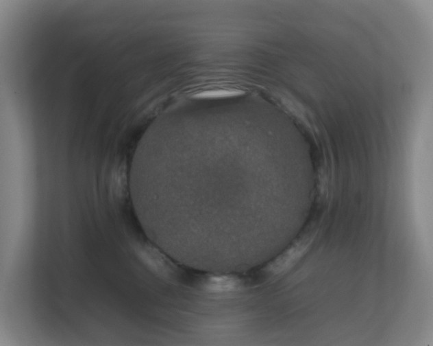 X0000111630376200907241055