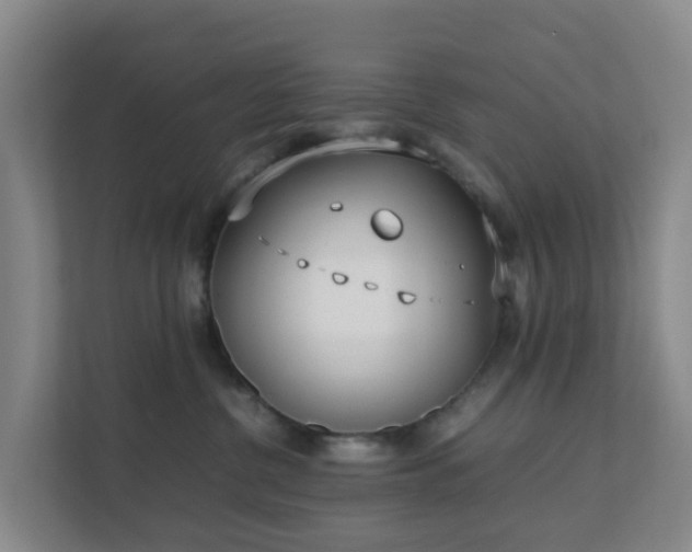 X0000111630380200907241055