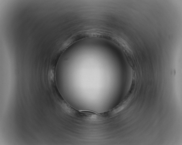 X0000111630382200907241055