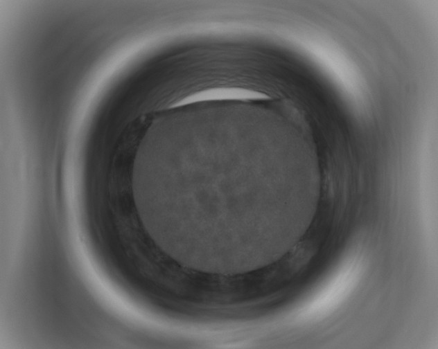 X0000111630383200907241055