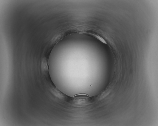 X0000111630384200907241055