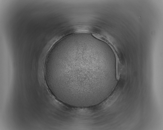 X0000111630385200907241055