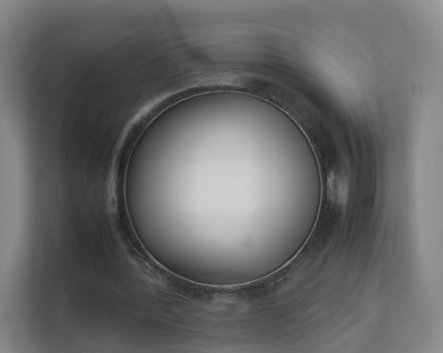 X0000111630388200907241055