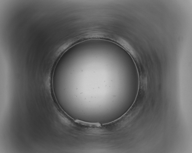 X0000111630389200907241055