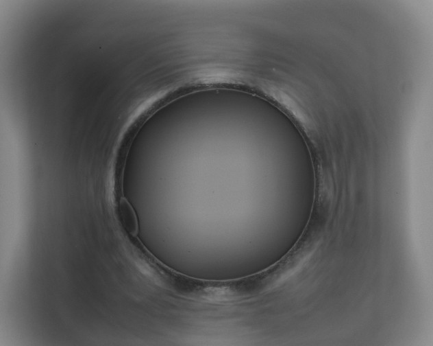 X0000111630391200907241055