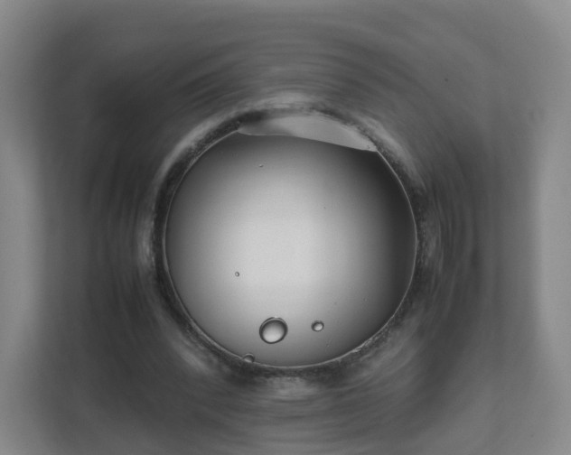 X0000111630392200907241055