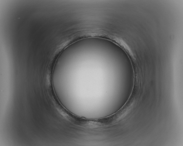 X0000111630393200907241055