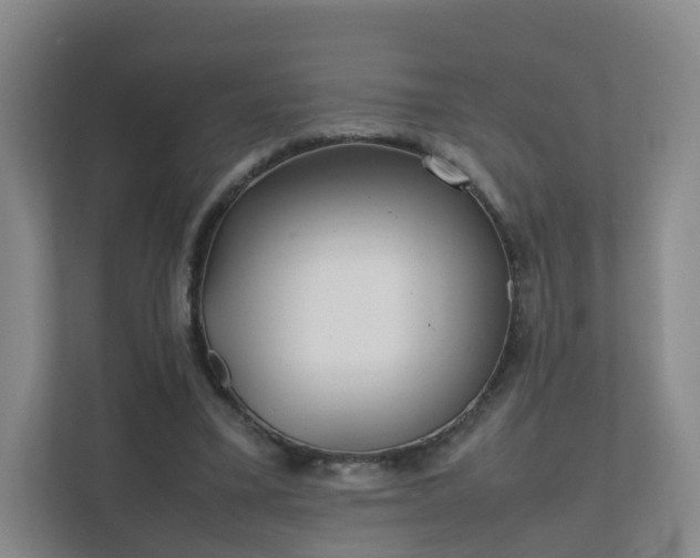 X0000111630395200907241055