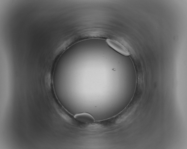 X0000111630397200907241054