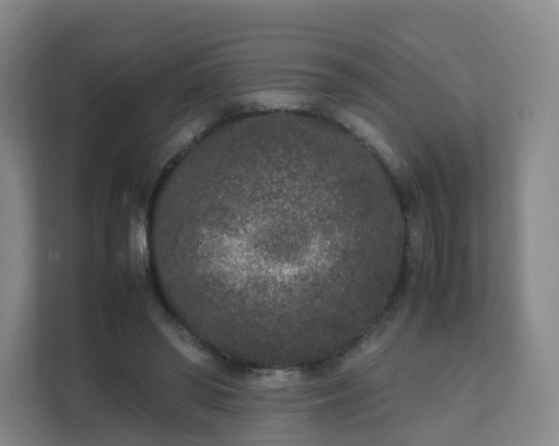 X0000111630398200907241054