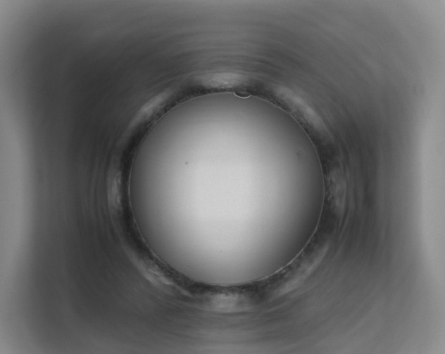 X0000111630400200907241054