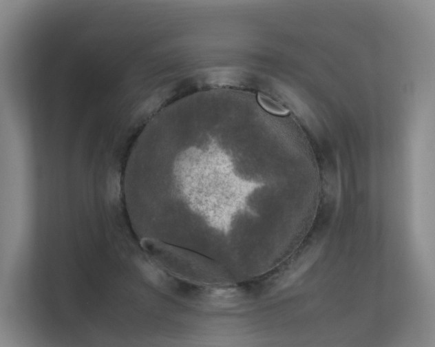 X0000111630401200907241054