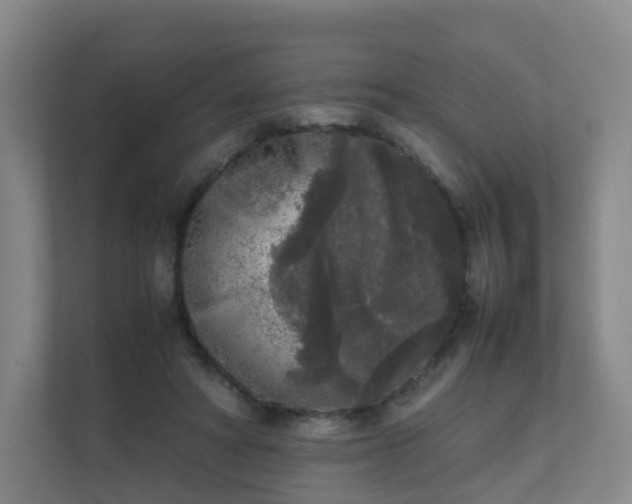 X0000111630402200907241054