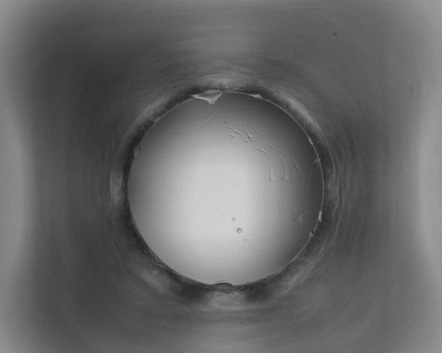 X0000111630403200907241054