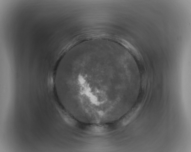 X0000111630405200907241054