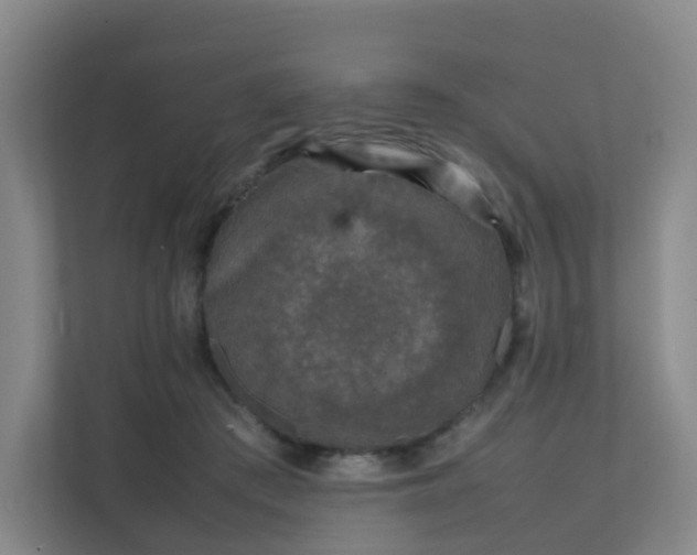 X0000111630409200907241054