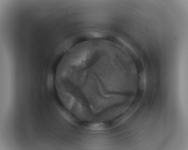 X0000111630410200907241054