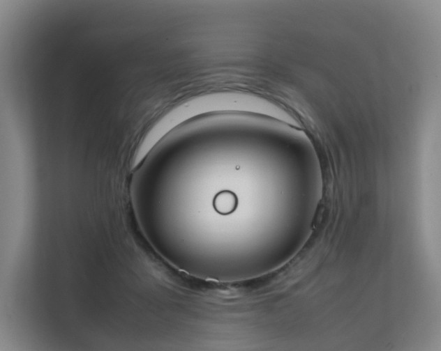 X0000111630411200907241054