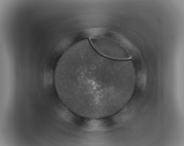 X0000111630413200907241054