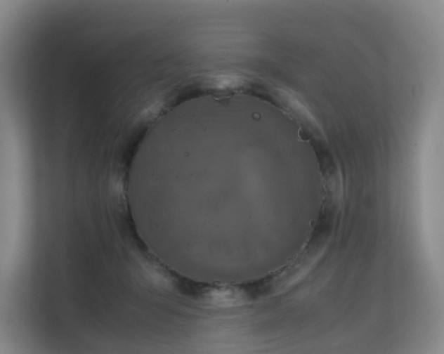 X0000111630415200907241054