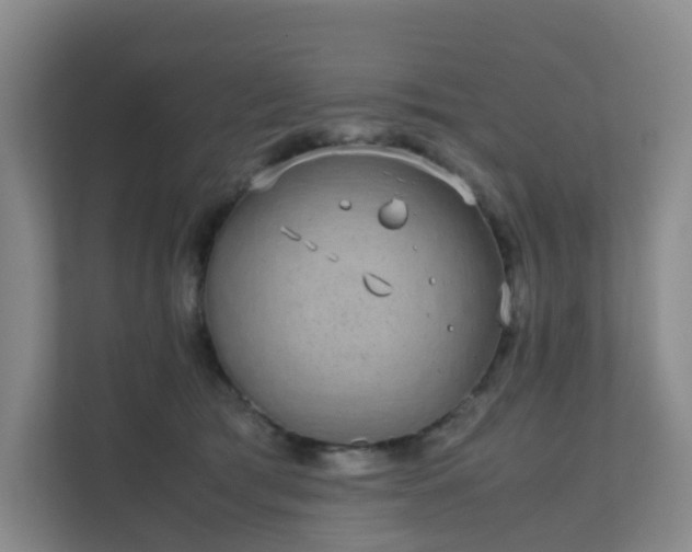 X0000111630417200907241054