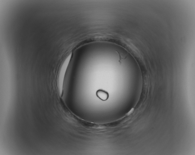 X0000111630419200907241054