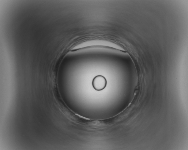 X0000111630421200907241054