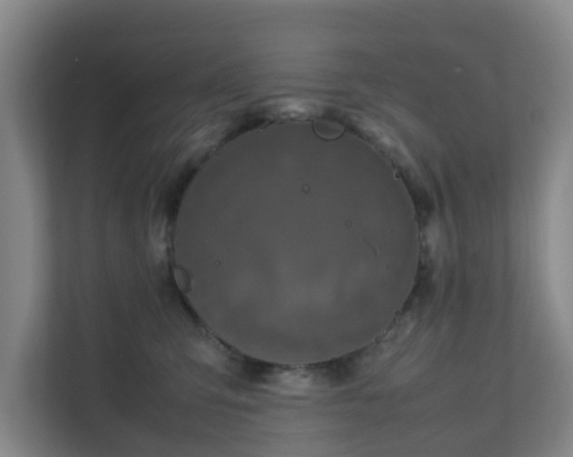 X0000111630423200907241054