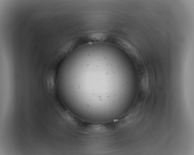 X0000111630424200907241054