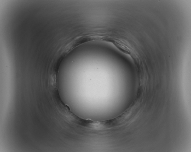 X0000111630425200907241054