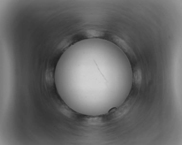 X0000111630426200907241054