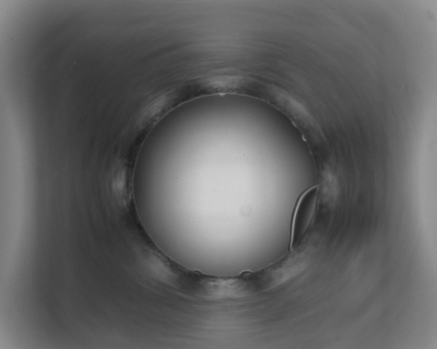 X0000111630428200907241054