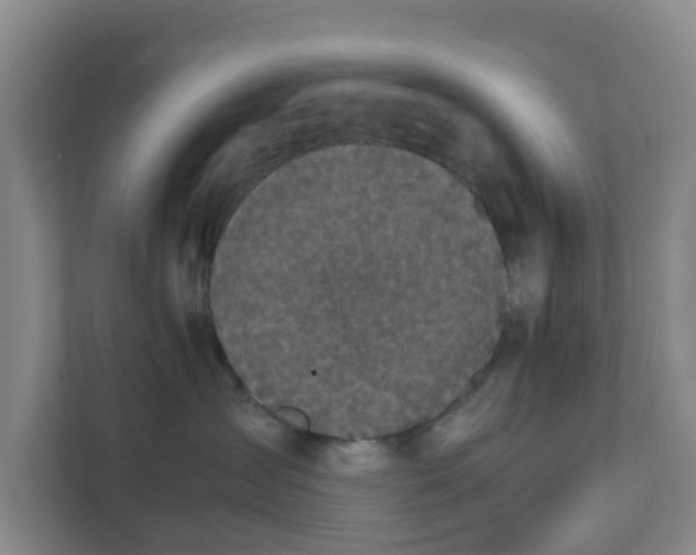 X0000111630431200907241054