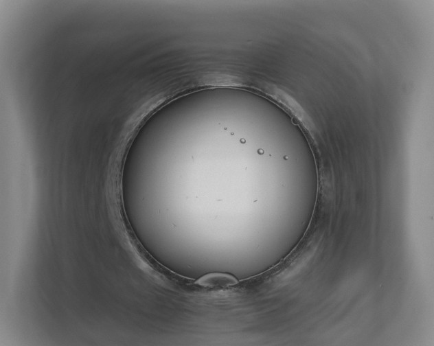 X0000111630433200907241053