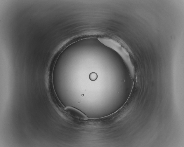 X0000111630436200907241053