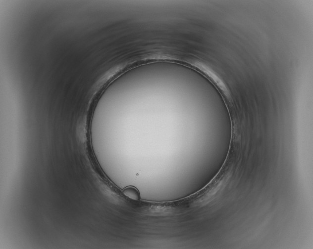 X0000111630437200907241053