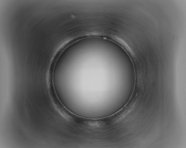 X0000111630439200907241053