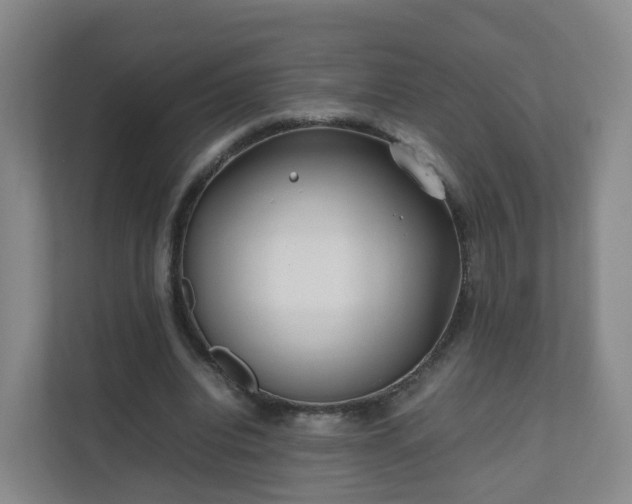 X0000111630440200907241053