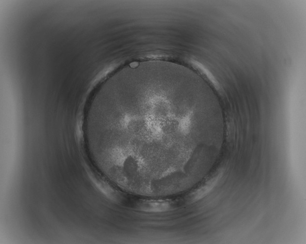 X0000111630443200907241054