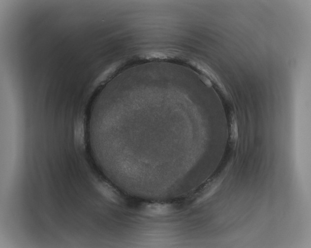 X0000111630444200907241054