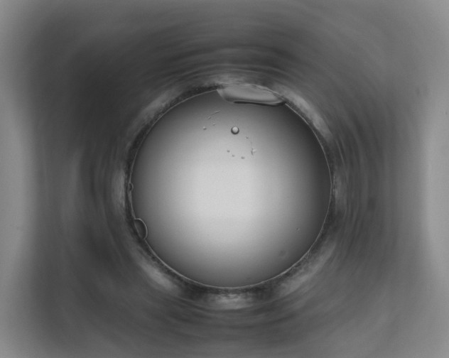 X0000111630445200907241054