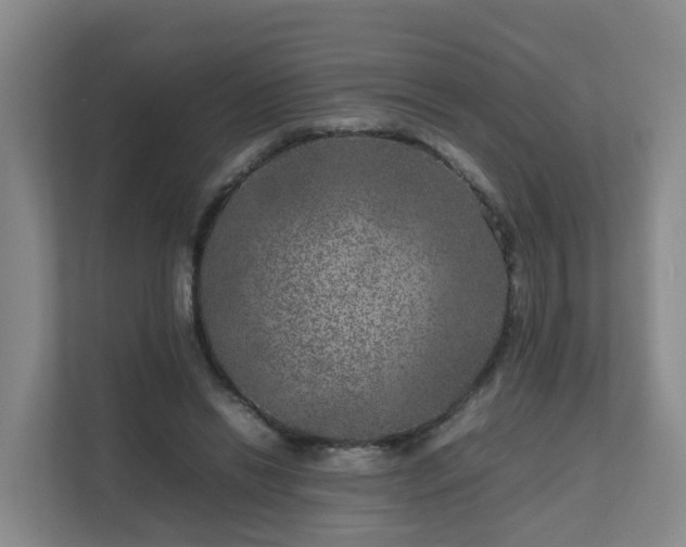 X0000111630446200907241054