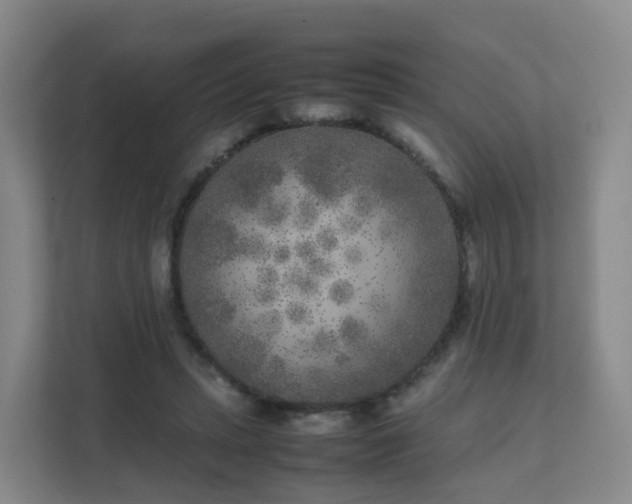 X0000111630447200907241054