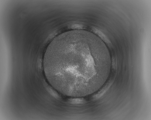 X0000111630449200907241054