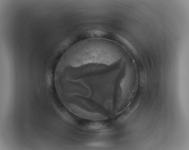 X0000111630451200907241054