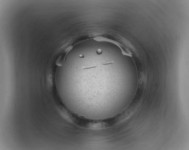 X0000111630452200907241054